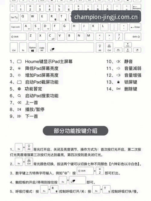 冠军BaiCai电脑版新手指南：3个核心功能带你快速上手v2.0.2